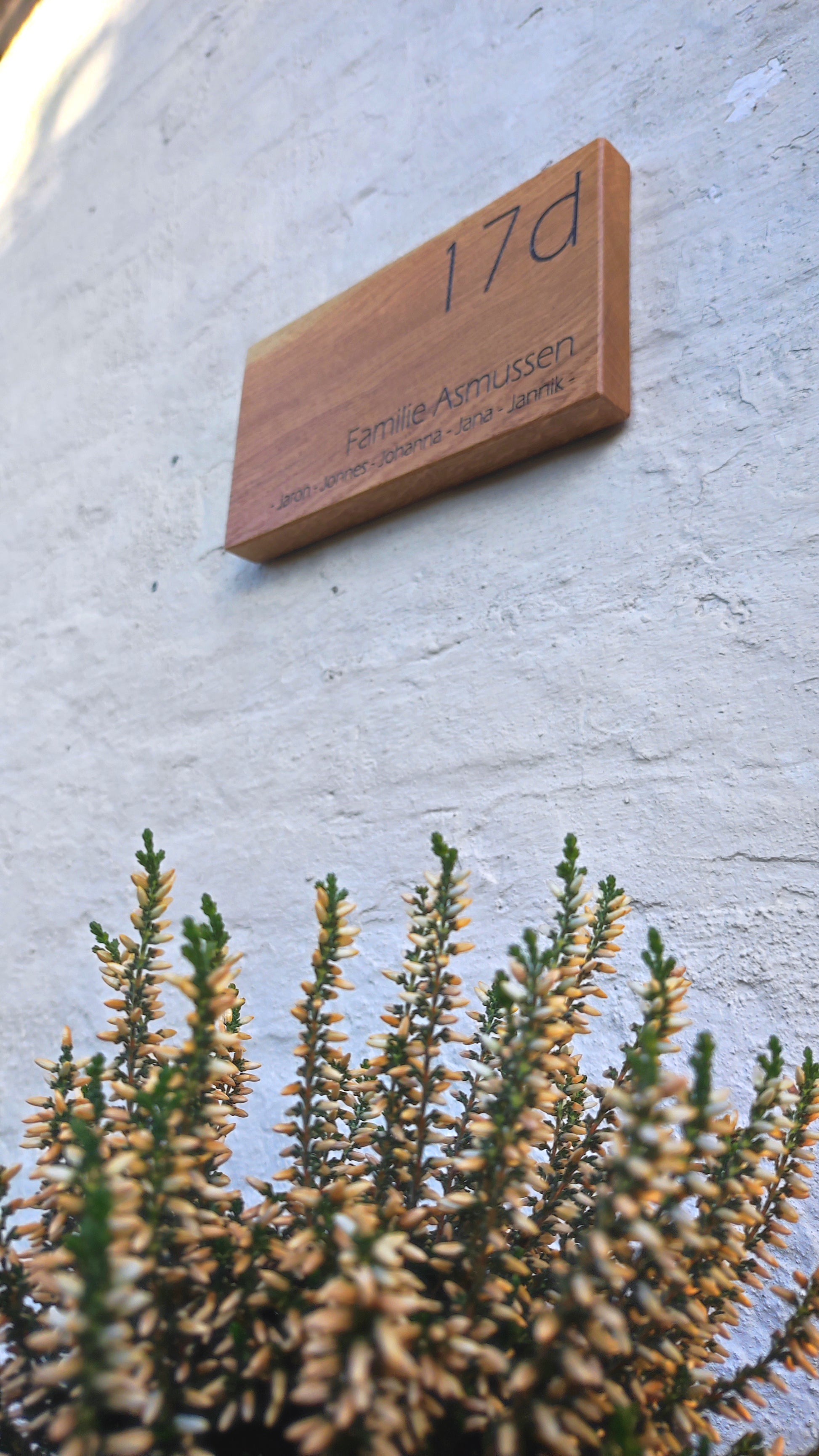Eichenschild (30x15cm), Haustürschild, Türschild personalisiert, Familienschild, Eingangsschild, Holzschild, Namensschild Haustür.